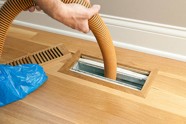 Best Air Duct Mold Removal  in Schuyler, NE